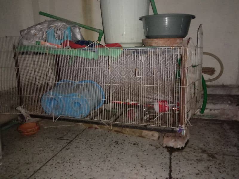 hen cage available 2