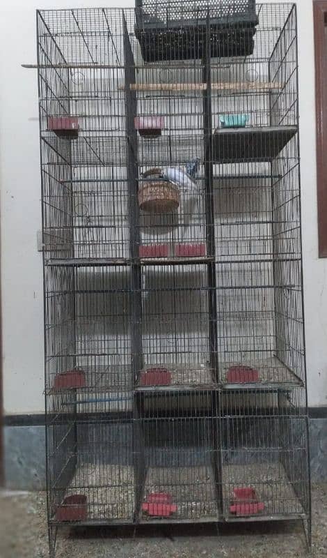 12 portion cage for sell urgent 1