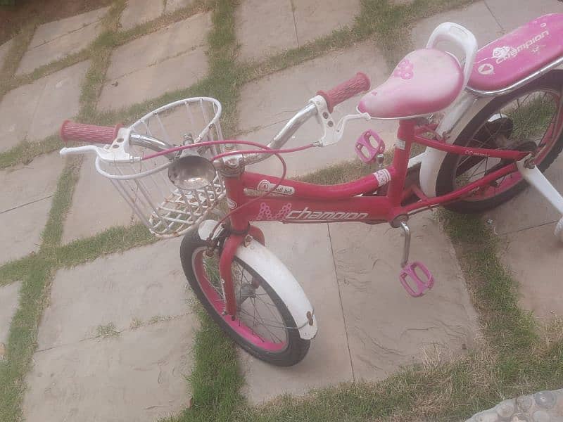 pink cycle 2