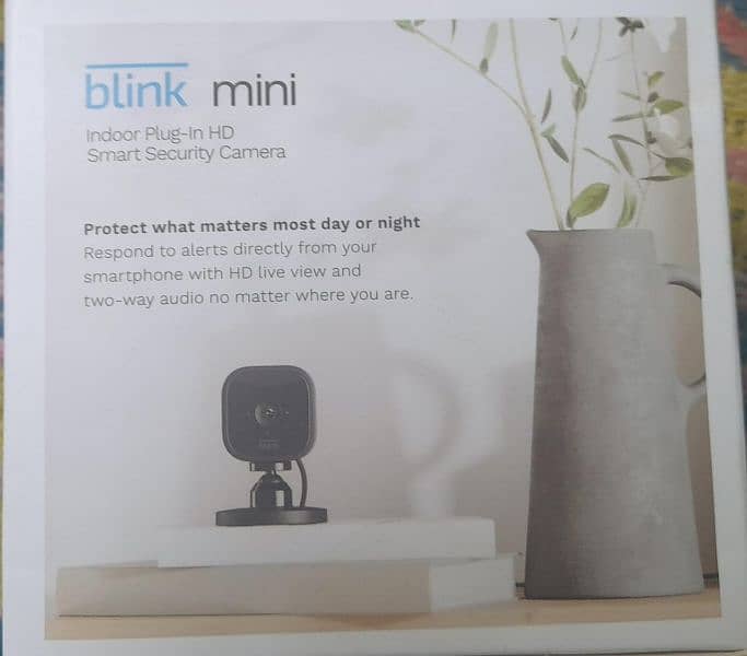 Amazon Blink mini, Outdoor and Tp link TAPO 2K 4