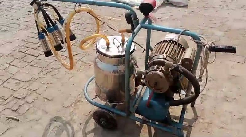 Milking Machine for Sale 3