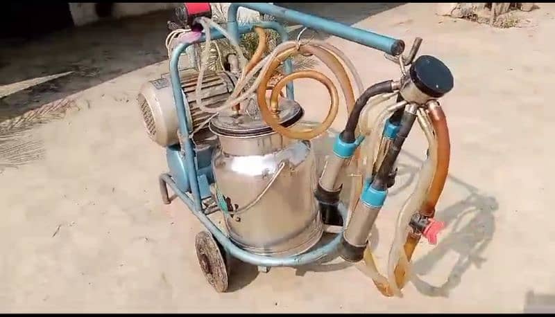 Milking Machine for Sale 4