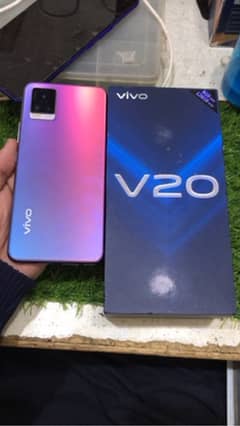 vivo