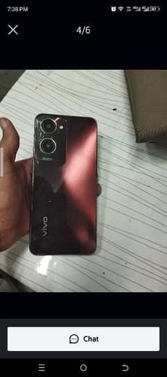 VIVO