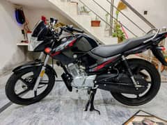 Yamaha ybr 125 brand new