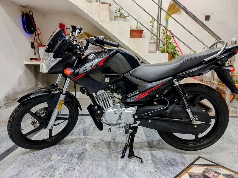 Yamaha ybr 125 brand new 0