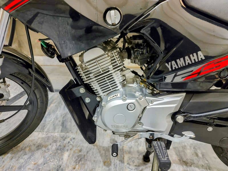 Yamaha ybr 125 brand new 4