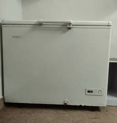 Haier Freezer