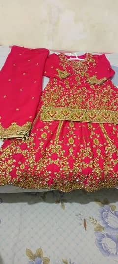 Bridal Sharara New Jorjat