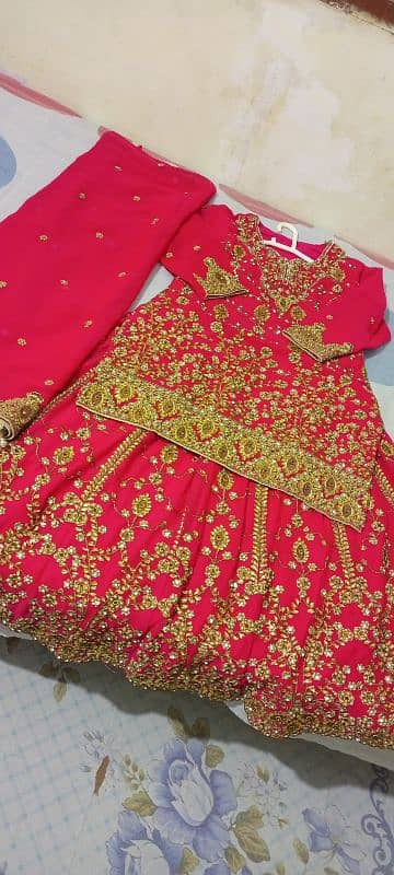 Bridal Sharara New Jorjat 3