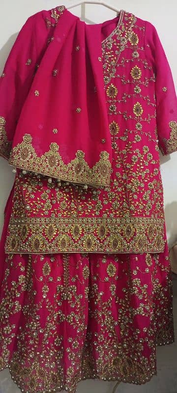 Bridal Sharara New Jorjat 6