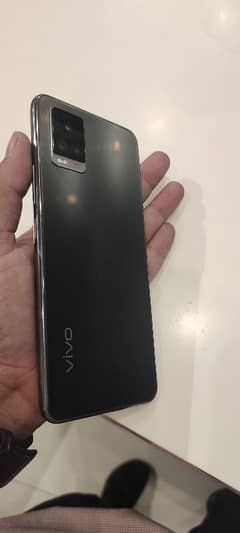 vivo