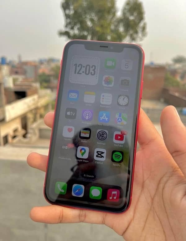 IPhone 11 non pta factory unlock 64 Gb 4