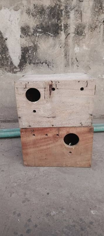 Lovebird keekar breeding Box 0