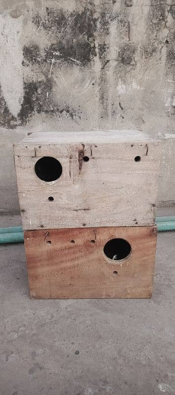 Lovebird keekar breeding Box 1