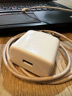 Oppo 65w Original Charger