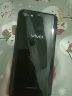 vivo