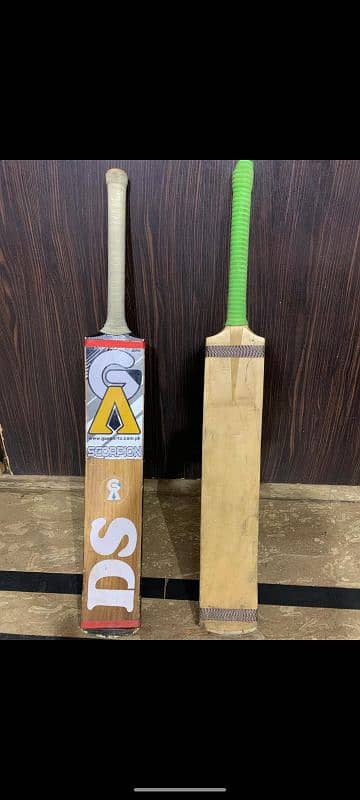 GA sports scorpion bat- simple bat 1