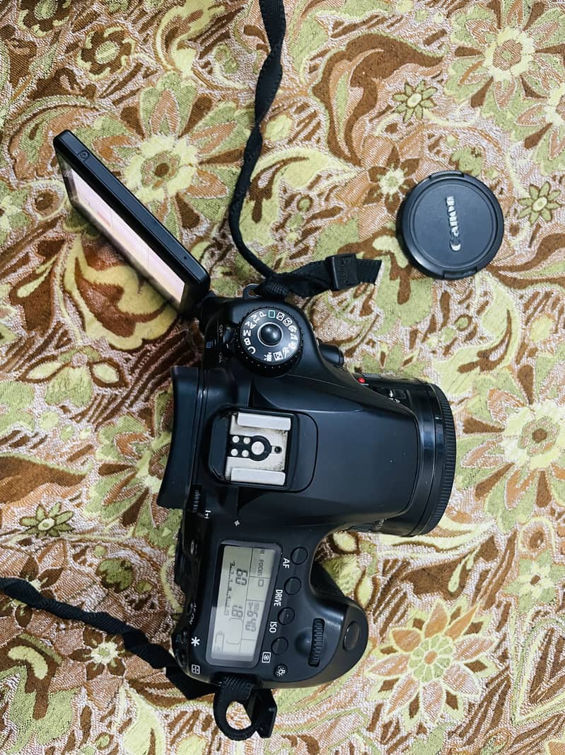 Canon 60D with 2 lenses 2