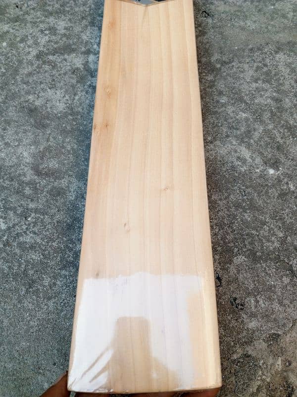 English Willow Cricket Bats 2