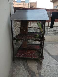 cage for all types birds