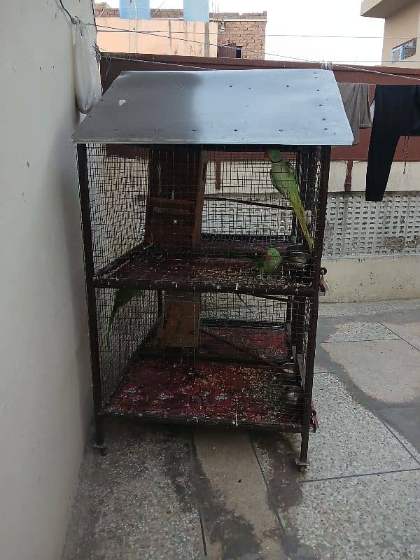 cage for all types birds 0