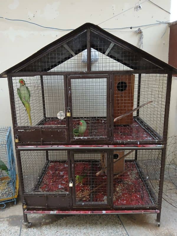 cage for all types birds 1