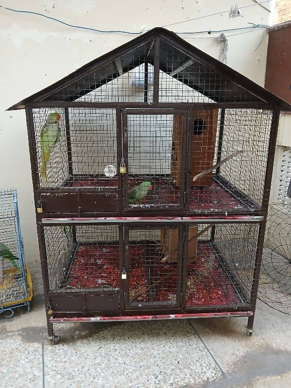 cage for all types birds 2