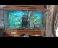 *LARGE AQUARIUM AT CHEAP PRICE*