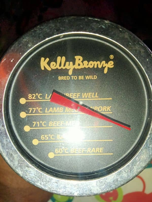 temperature Heat Gauge For Meat and Water Anything check it 2