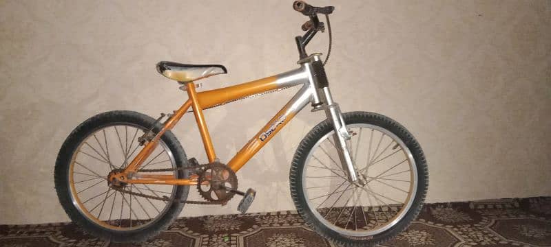 Kids Bicycle 4 sale 2