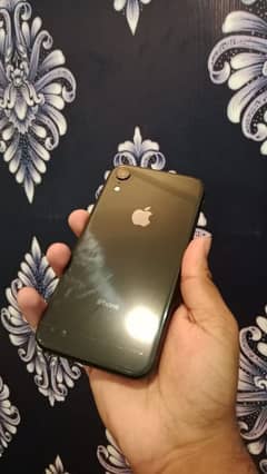 Iphone XR 64 in lush condition