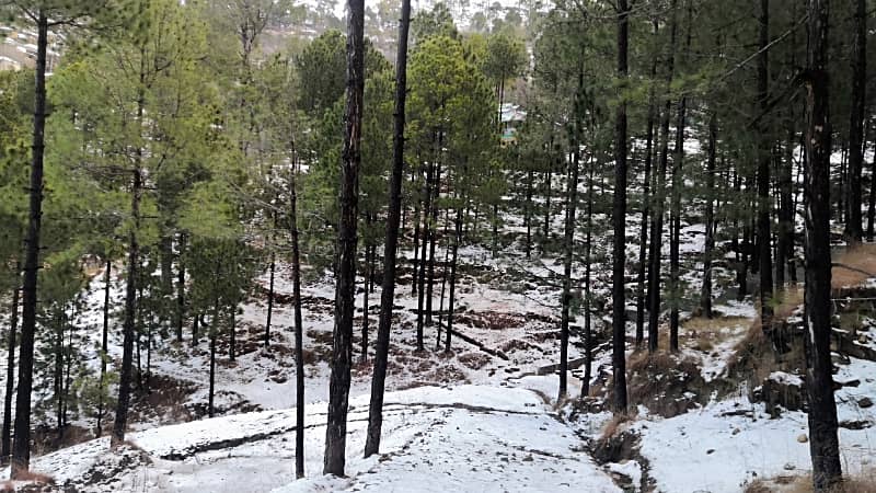 10 Marla Registry Inteqal Plot For Sale In New Murree Town Ship 7