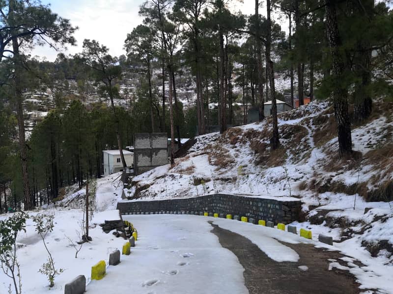 10 Marla Registry Inteqal Plot For Sale In New Murree Town Ship 17