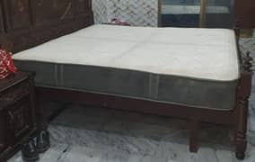 Molty - Pocket Spring Mattress (like new)