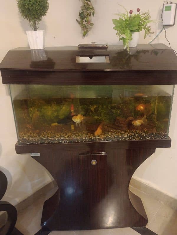 fish tank with fishes and all accesories up for sale 0