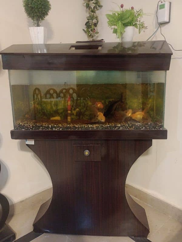 fish tank with fishes and all accesories up for sale 1