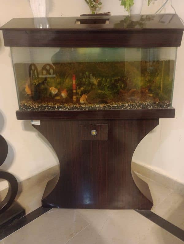 fish tank with fishes and all accesories up for sale 2