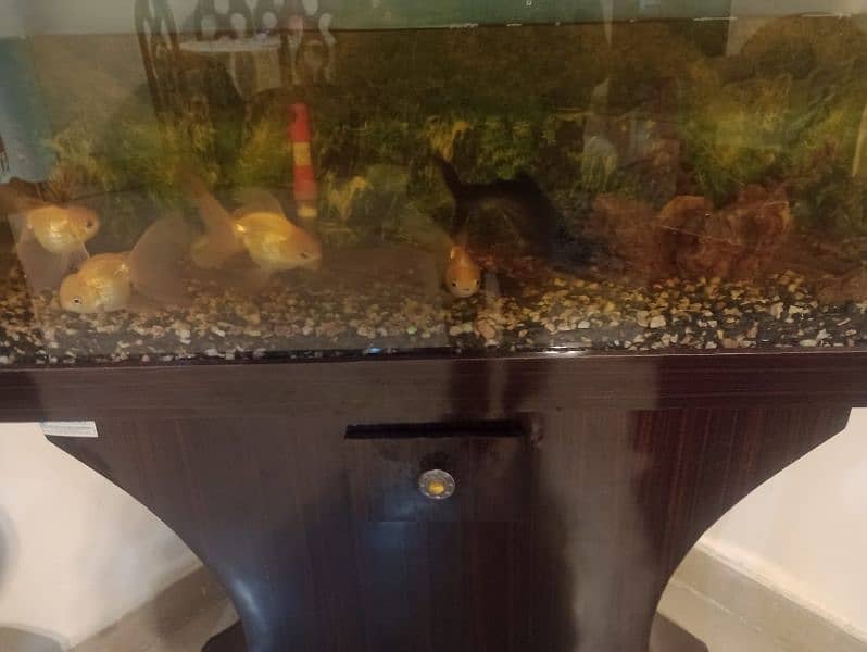 fish tank with fishes and all accesories up for sale 3