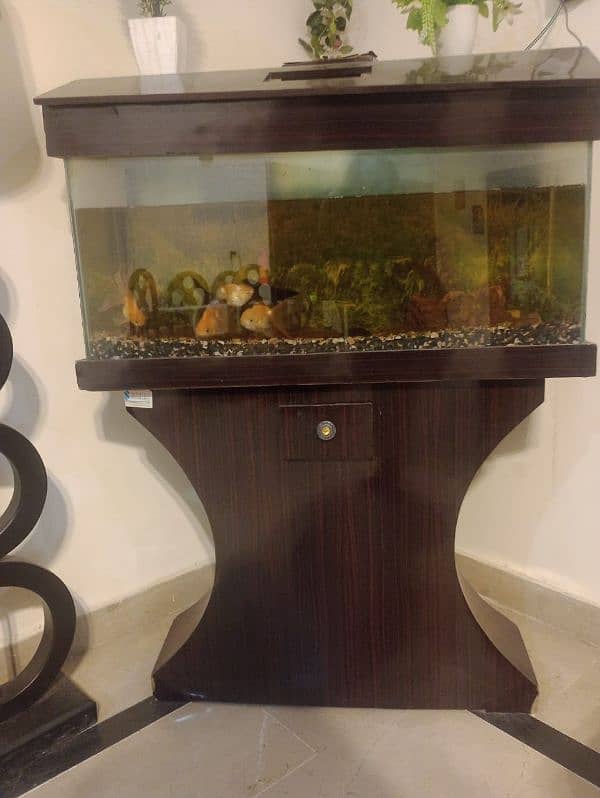 fish tank with fishes and all accesories up for sale 4