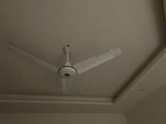 Ceiling Fans in excellent working condition with warrenty