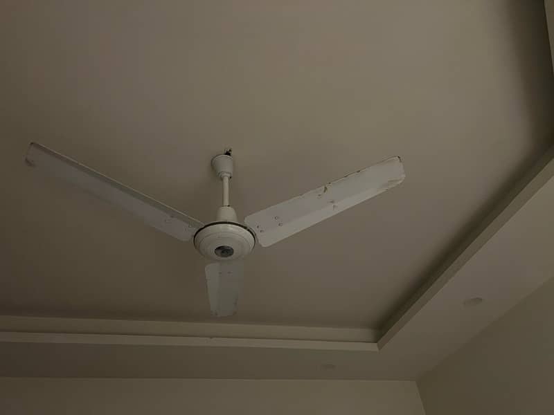 Ceiling Fans in excellent working condition with warrenty 0