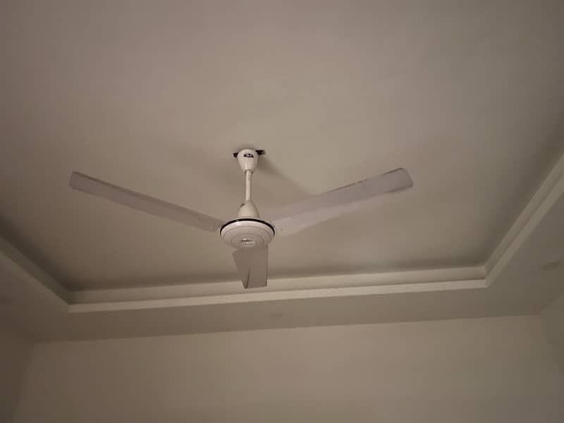 Ceiling Fans in excellent working condition with warrenty 2