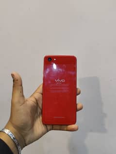 Vivo