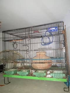 Condition 8/10 Brand Aliyan Birds Cage