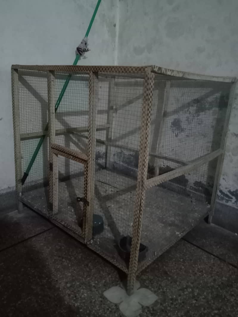 Big cage for birds 2