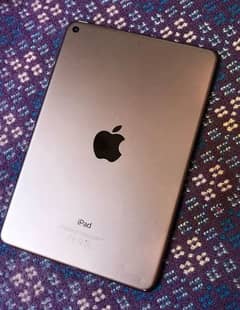 iPad mini 5