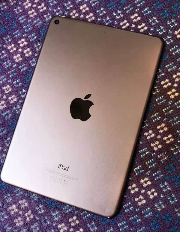 iPad mini 5 0