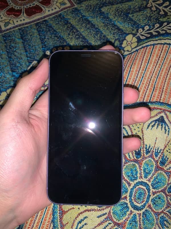 iphone 12 mini 1