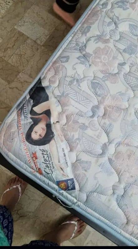 Master Celeste Mattress | Queen Size 1